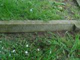 image of grave number 496814